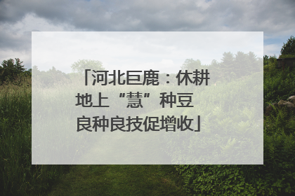 河北巨鹿：休耕地上“慧”种豆 良种良技促增收